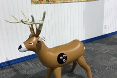 Img00003